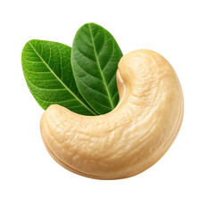 A single pale yellow cashew nut with a curved shape rests beside two vibrant green cashew leaves on a black background