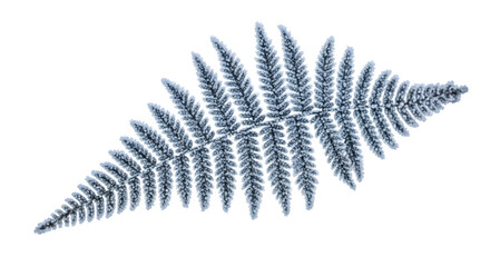 Barnsley Fern Fractal, isolated on white background