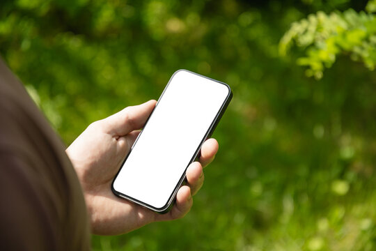 Mans hands holding smartphone with white empty screen in outdoor green setting. Check apps, focused on device, chatting, texting. Fitness progress on app. Side view. Close up.