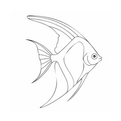 vector illustration of a fish