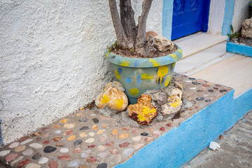 Mediterranean Doorway with Potted Plant and Pebble Path
