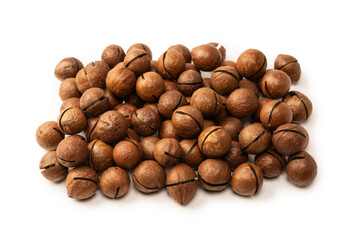 Macadamia nuts in a shell isolated on a white background.