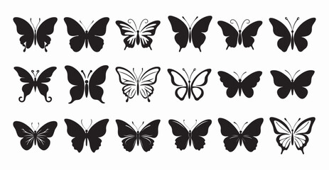 Butterfly collection drawing butterflies silhouette and color flying insects spring animals wild.