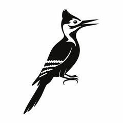woodpecker bird black silhouette vector, Simple silhouette Design vector icon with white background. Wild Animal Vector. Bird Vector