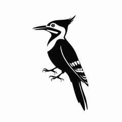 woodpecker bird black silhouette vector, Simple silhouette Design vector icon with white background. Wild Animal Vector. Bird Vector