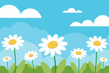 Fototapeta premium summer meadow with daisies