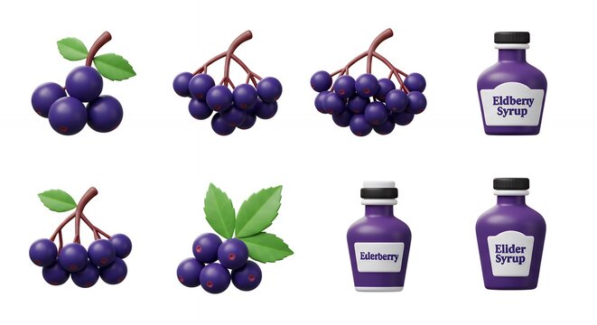 Elderberries and elderberry syrup collection
