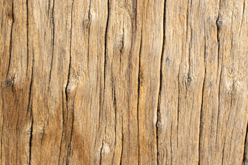 super close-up of beige wood texture