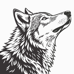 Fototapeta premium WOLF head on white background