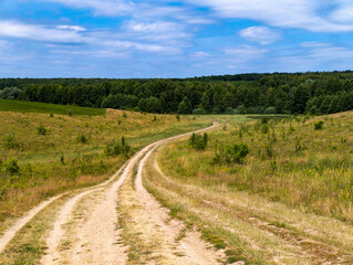 A dirt road in the middle of a grassy field