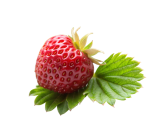 strawberry  isolated on white background. PNG Transparent file type with high definition quality And vibrant color grading Available.