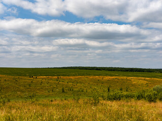 A grassy field with a few clouds in the sky