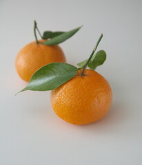 Mandarin fruit with leaves, on light background, the mandarin orange, Citrus reticulata