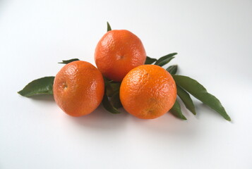 Mandarin fruit with leaves, on light background, the mandarin orange, Citrus reticulata