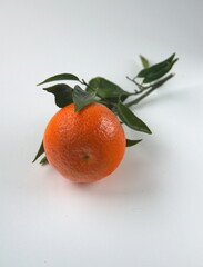 Mandarin fruit with leaves, on light background, the mandarin orange, Citrus reticulata