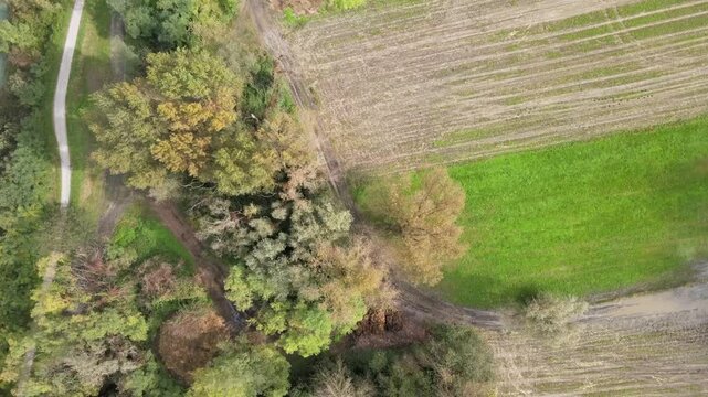 Aerial nature top down near Colico village farm Lake Como Italian Alps mountains in Lombardy