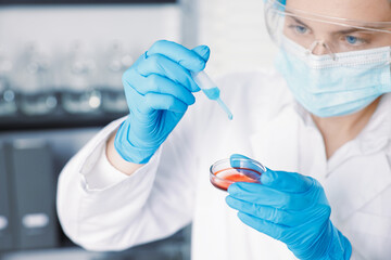 Scientist working with sample in Petri dish in laboratory, selective focus