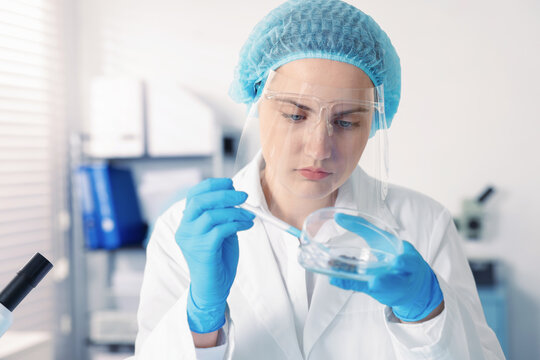 Scientist working with sample in Petri dish in laboratory