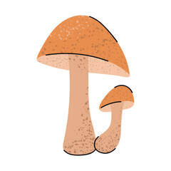 Aspen bolete mushroom. Stylized forest autumn mushroom.