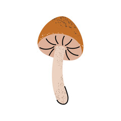 Honey mushroom, armillaria mushroom. Stylized autumn mushroom.