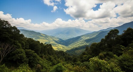 Fototapeta premium Lush Green Mountain Valley Under a Bright Blue Sky with Fluffy Clouds