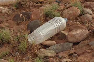 Plastic bottle lying on the ground