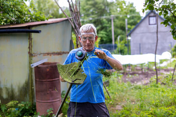 Man cleaning grass from string trimmer head. An elderly man wearing safety goggles clears stuck...