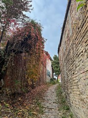 Empty Road Between Old Houses in Autumn