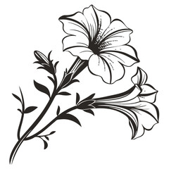 vector illustration of petunia