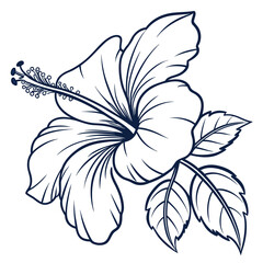 hibiscus with leaves