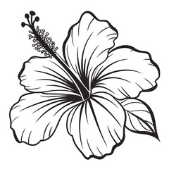 black and white hibiscus © MOHAMMADRIPON