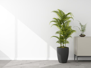 White wall mockup with a sideboard and an ornamental plants. 3D rendering, interior design, 3D illustration