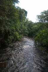 Fototapeta premium Rivers in Venezuela, Orinoco and Caroni. Two enormous rivers that have a huge flow of fresh water cross much of Venezuela.
