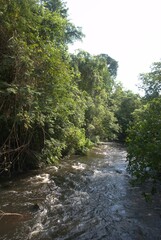 Rivers in Venezuela, Orinoco and Caroni.
Two enormous rivers that have a huge flow of fresh water...