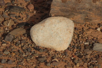 Close up of a white stone on the ground