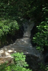 Rivers in Venezuela, Orinoco and Caroni.
Two enormous rivers that have a huge flow of fresh water...