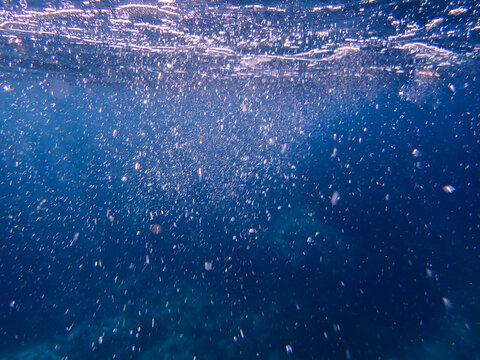 bubbles, bubble, water, underwater, sea, air, slow motion, deep, undersea, under, background, wave, liquid, clear, clean, ocean, nature, texture, oxygen, blue, white, effect, transparent, foam, aqua. - Powered by Adobe