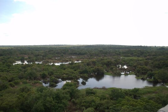 Rivers in Venezuela, Orinoco and Caroni.
Two enormous rivers that have a huge flow of fresh water cross much of Venezuela.