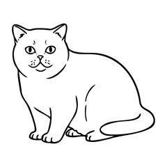 Obraz premium Outline of a sitting cat with whiskers and tail in simple line art. Vector hand-drawn doodle illustration