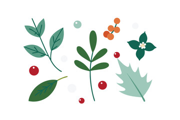 Whimsical Flat Style Botanical Elements Wintergreen And Berries
