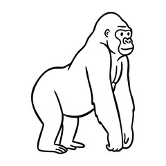Obraz premium Outline of a standing gorilla facing left with minimalist style. Vector hand-drawn doodle illustration