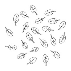 Pattern of hand-drawn leaf outlines with varied arrangements. Vector hand-drawn doodle illustration