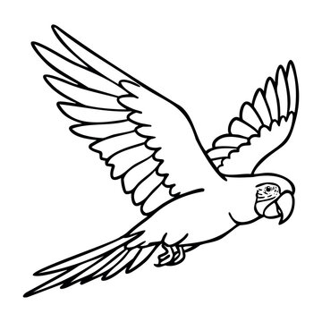Flying parrot outline with spread wings. Vector hand-drawn doodle illustration