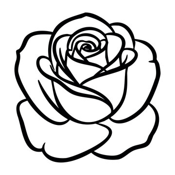 Simple black and white rose outline drawing. Vector hand-drawn doodle illustration