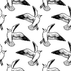 Seagull seamless pattern, texture, lines, different angles. Sea. The illustration has a simple and concise design. hand-drawn. on a white background. Vector
