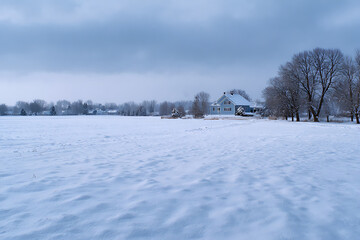 Obraz premium Winter Landscape Snow Covered Field Blue House Snowy Trees Cold Day Serene Scene Quiet Rural Area Frosty Morning Pale Sky Distant Homes