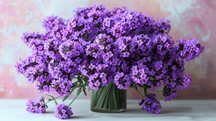 Bunch of purple flowers in clear vase. Soft pink and white mottled background. Fresh
