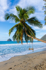 Tropical Palm Tree with Swing on Diamond Beach, Facing Diamond Rock, Martinique, French Caribbean