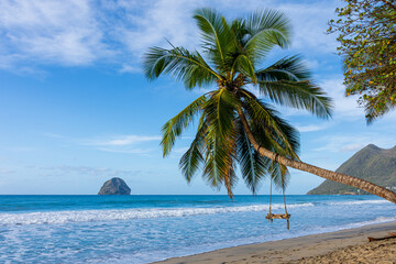 Tropical Palm Tree with Swing on Diamond Beach, Facing Diamond Rock, Martinique, French Caribbean...