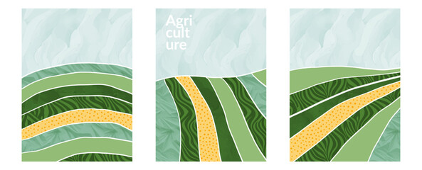 Farmland illustration with eco vineyard grape, abstract nature background, flat vector pattern, tea field design, poster layout, green landscape texture, rural cover, agro art, collage view corn